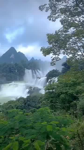 雷火官方网站入口